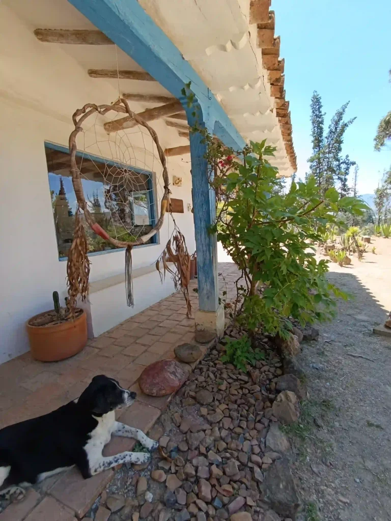 Patio exterior de una casa de campo premium en Villa de Leyva, con perro relajado y un atrapasueños artesanal.