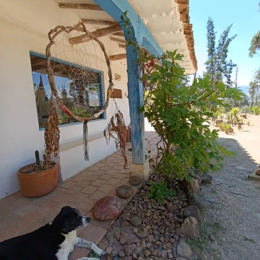 Patio exterior de una casa de campo premium en Villa de Leyva, con perro relajado y un atrapasueños artesanal.