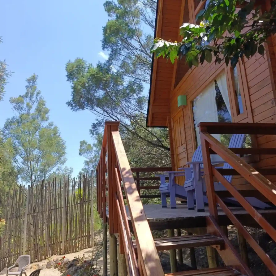 Vista exterior de la Cabaña el Ensueño, una acogedora cabaña con escaleras y porche entre árboles frondosos en Monquirá. hotel Hichatana y Zuetana