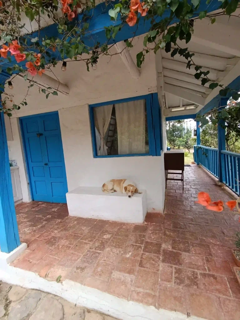 Entrada acogedora a casa rural con perro, buganvilias, diseño tradicional en Vereda Monquirá, Villa de Leyva.