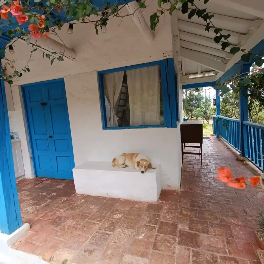 Entrada acogedora a casa rural con perro, buganvilias, diseño tradicional en Vereda Monquirá, Villa de Leyva.