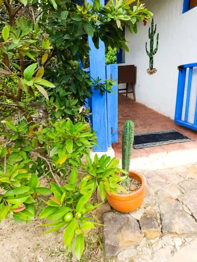 Casa de campo premium en Villa de Leyva: portal azul, cactus y abundante vegetación, ideal para hospedaje.
