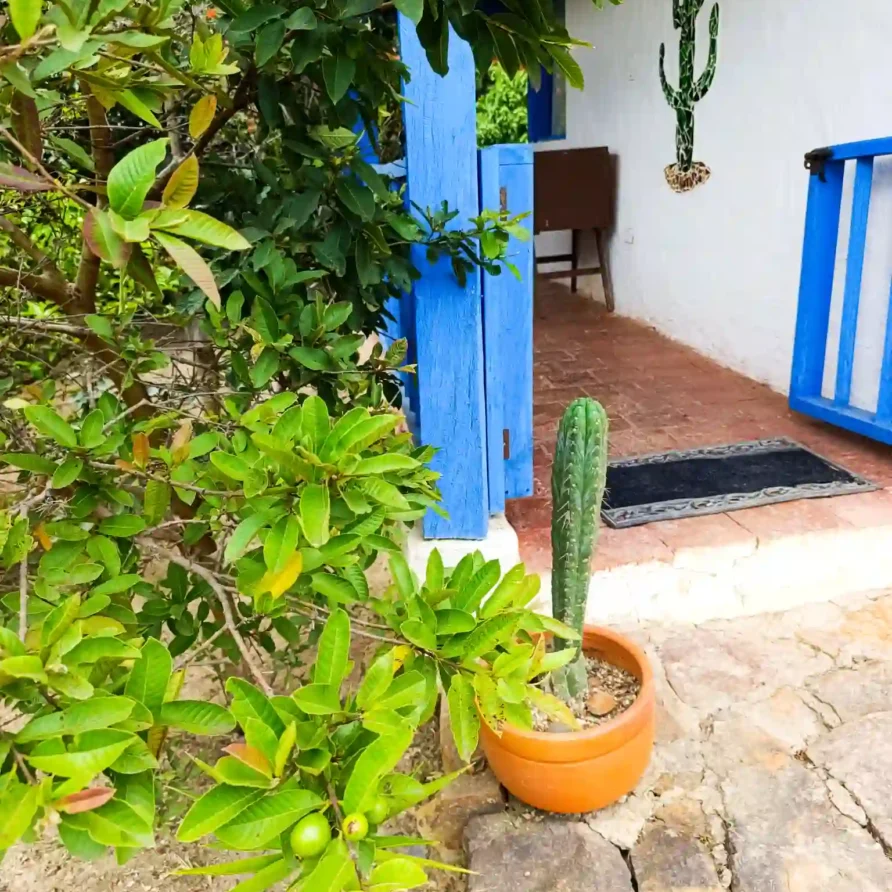 Casa de campo premium en Villa de Leyva: portal azul, cactus y abundante vegetación, ideal para hospedaje.