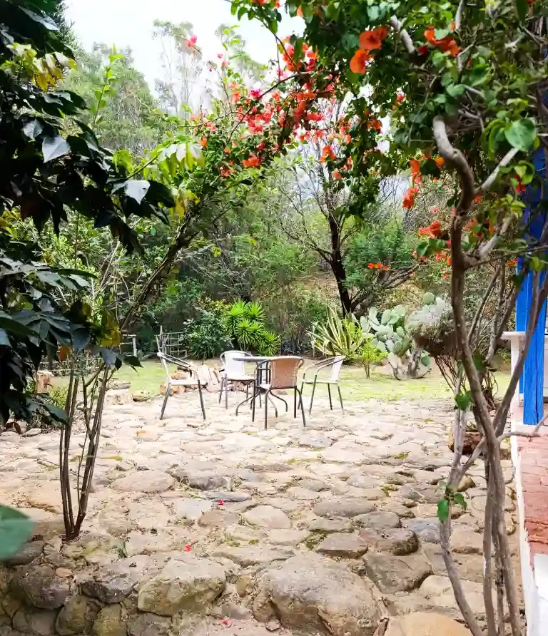 Jardín privado de cabaña premium con patio de piedra, mobiliario de exterior y vegetación exuberante.