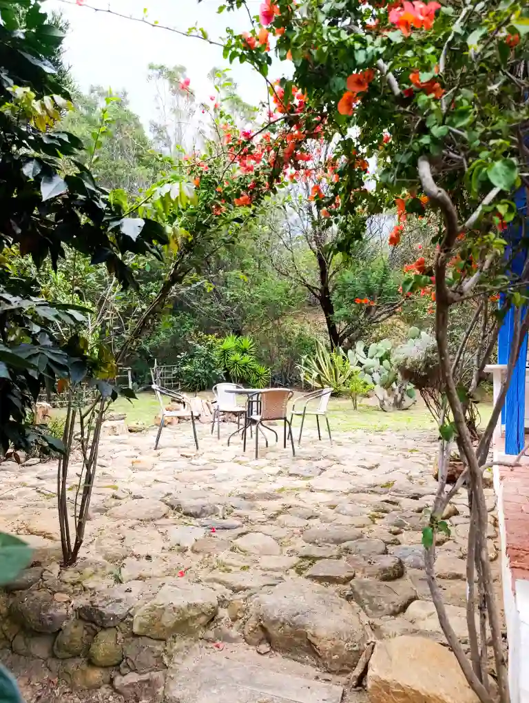 Jardín privado de cabaña premium con patio de piedra, mobiliario de exterior y vegetación exuberante.