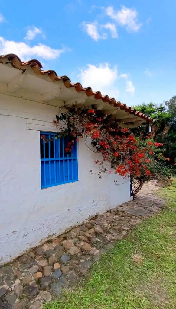 Cabaña El Oteo en Villa de Leyva con fachada blanca, ventana azul colonial y buganvillas rojas vibrantes.