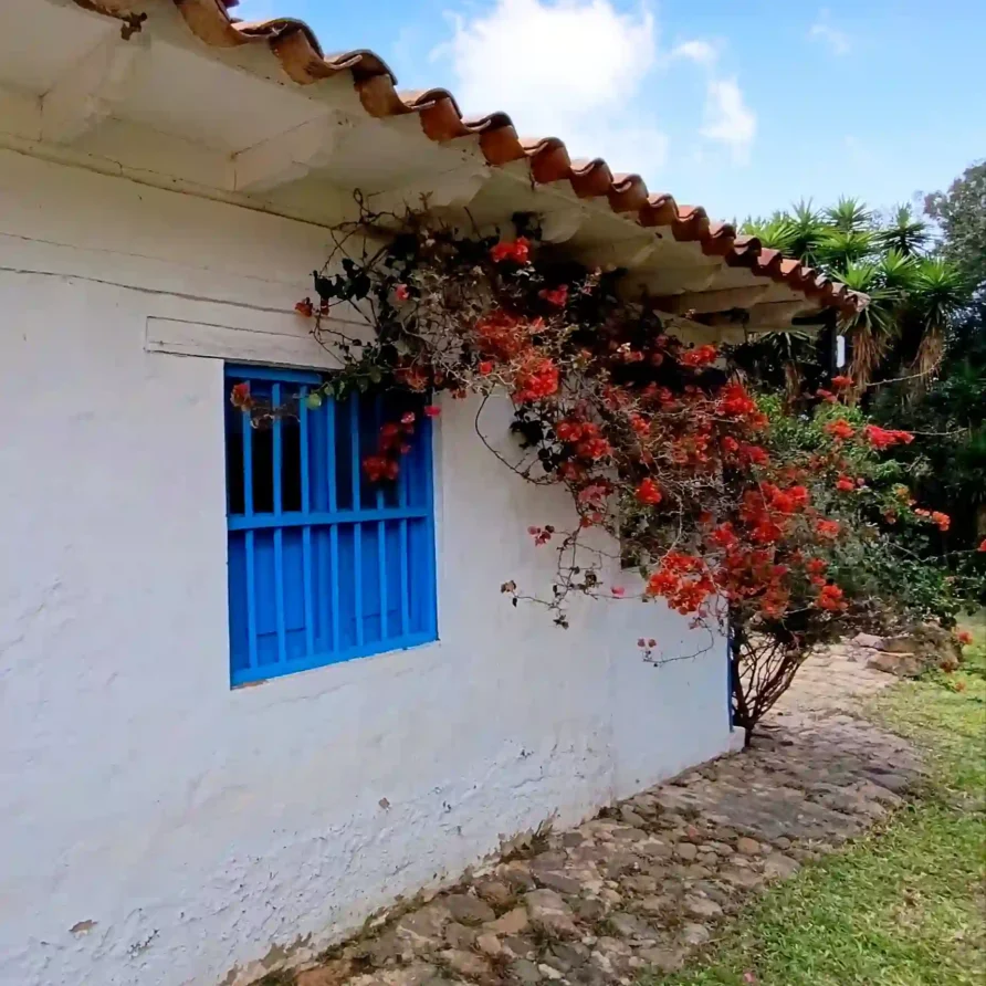Cabaña El Oteo en Villa de Leyva con fachada blanca, ventana azul colonial y buganvillas rojas vibrantes.