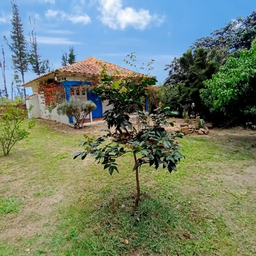 Casa de campo con encanto en Villa de Leyva, ideal para hospedaje premium, con jardín y vegetación exuberante.