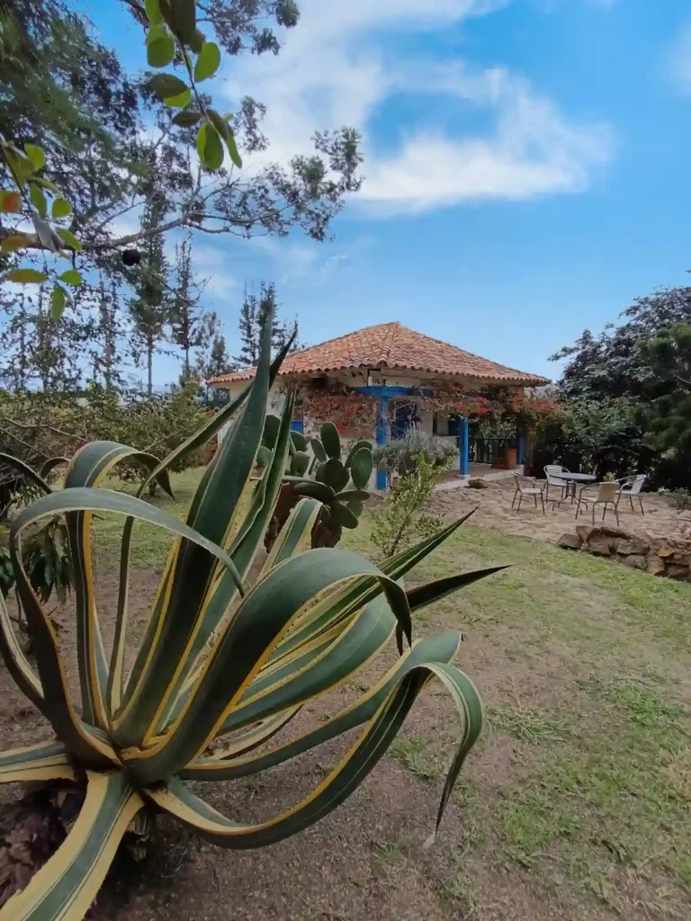 Casa de campo premium El Oteo en Villa de Leyva, con amplio jardín verde, agave y área de descanso al aire libre.