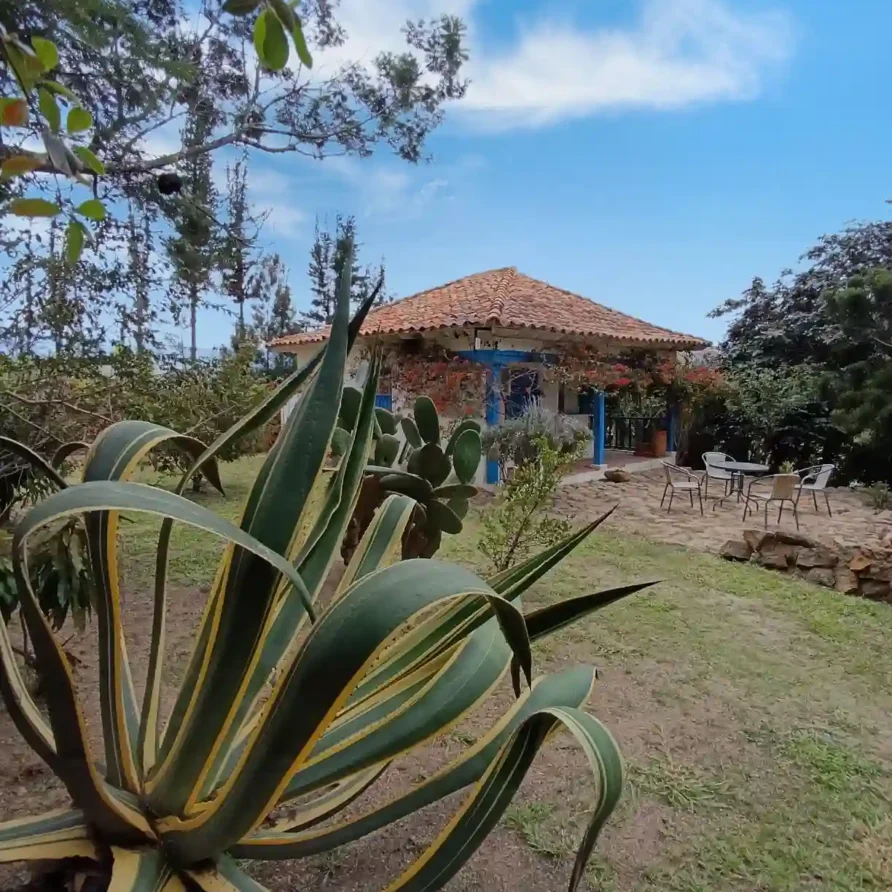Casa de campo premium El Oteo en Villa de Leyva, con amplio jardín verde, agave y área de descanso al aire libre.