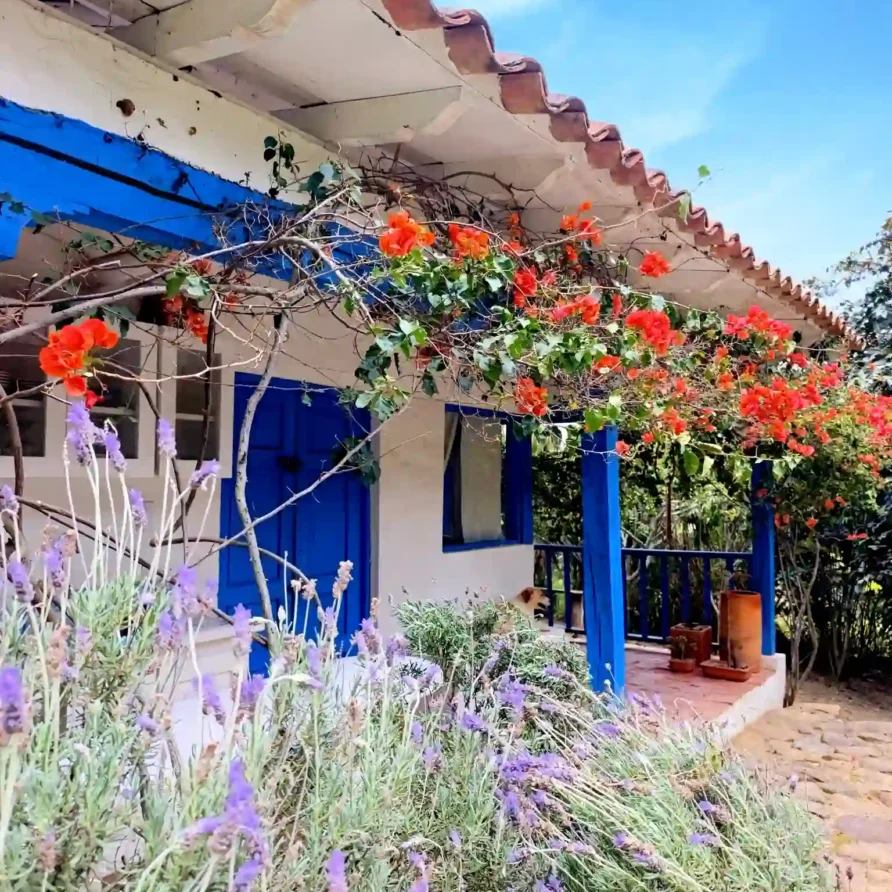 Fachada rústica de cabaña con techo de teja, buganvilias exuberantes y plantas de lavanda al frente.