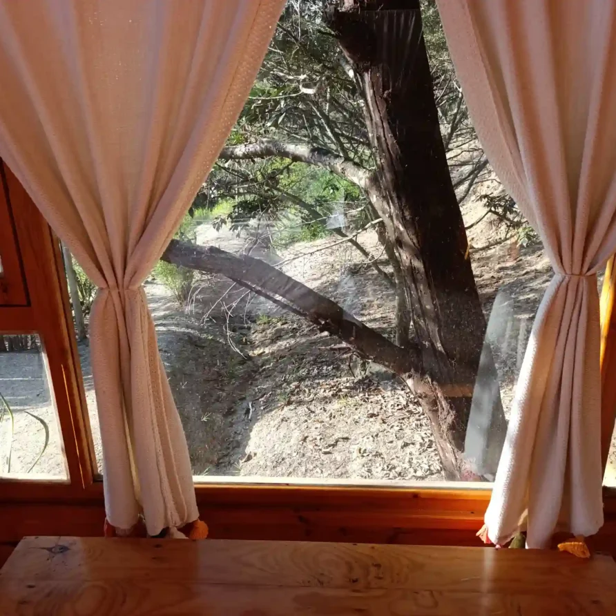 Hospedaje premium en Villa de Leyva: detalle de cortinas y ventana con vista a la naturaleza y árboles.