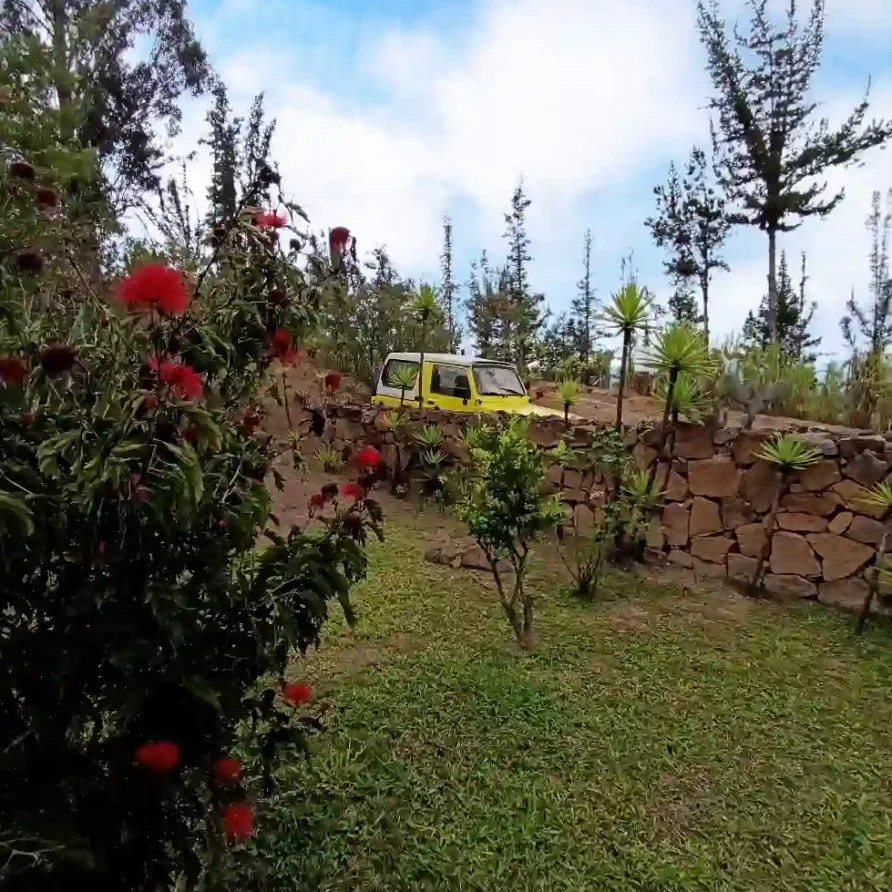 Vehículo todoterreno amarillo en sendero rural, con muro de piedra y flores rojas. Entorno de cabaña en Villa de Leyva.