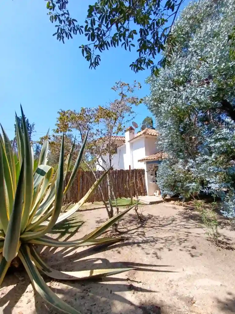 Cabaña blanca con techo de teja y jardín natural con agave y árboles bajo cielo azul en Villa de Leyva.