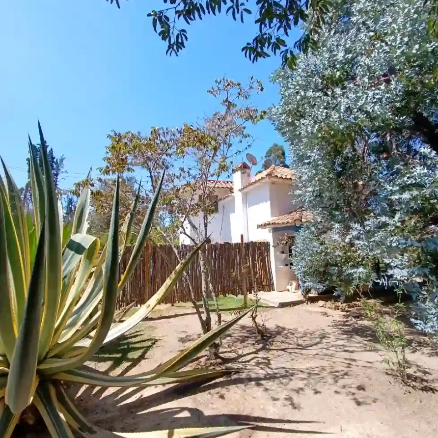 Cabaña blanca con techo de teja y jardín natural con agave y árboles bajo cielo azul en Villa de Leyva.