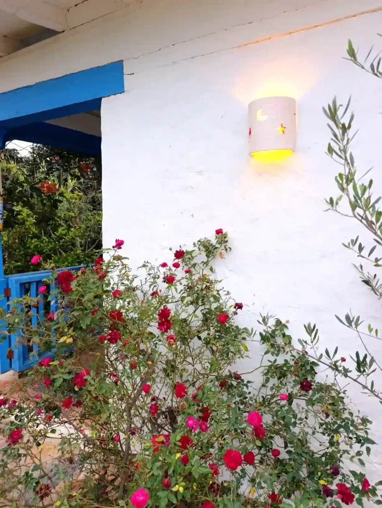 Fachada de casa de campo en Villa de Leyva con rosales vibrantes, lámpara de pared de luz cálida y detalles en azul.
