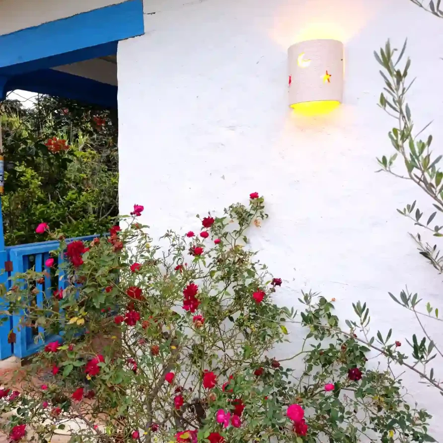 Fachada de casa de campo en Villa de Leyva con rosales vibrantes, lámpara de pared de luz cálida y detalles en azul.