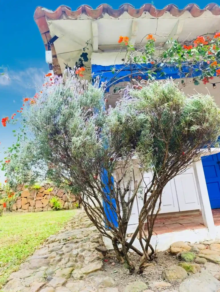 Jardín de cabaña El Oteo con arbusto de lavanda, flores naranjas y techo de teja bajo cielo claro.