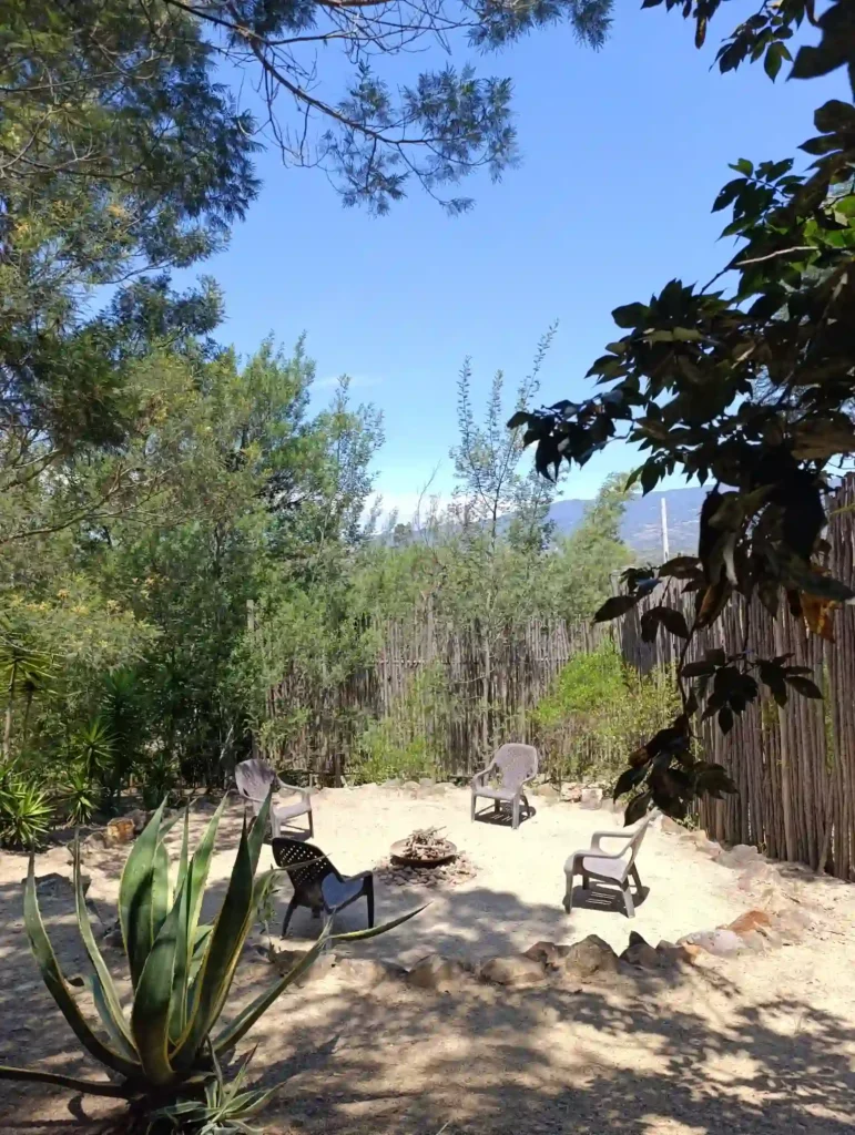 Área de fogata exterior con sillas y agave en Cabaña el Ensueño, Hotel Hichatana y Zuetana, rodeada de vegetación en Villa de Leyva.