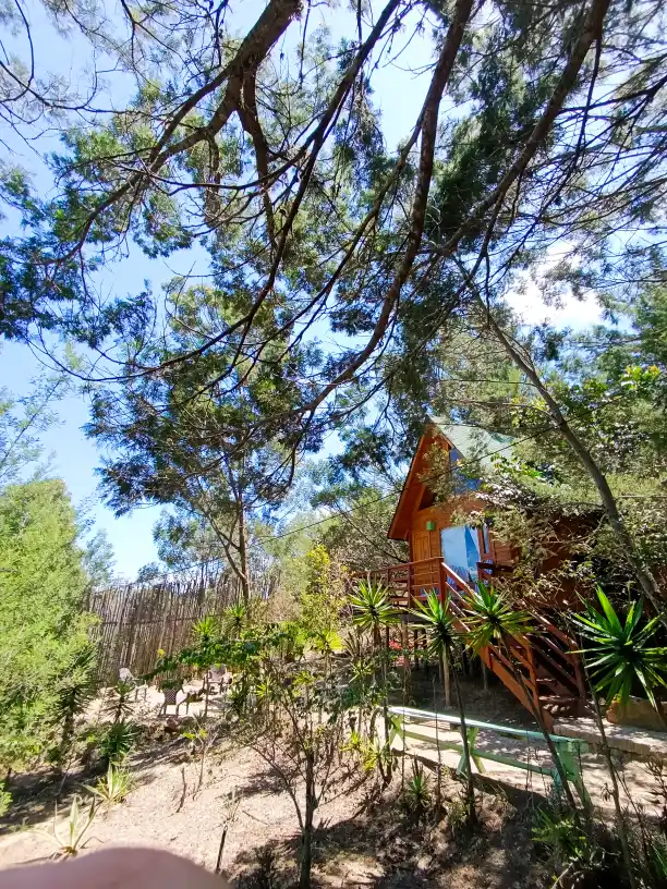 Cabaña de madera El Ensueño, Villa de Leyva, rodeada de árboles y vegetación exuberante bajo cielo azul.